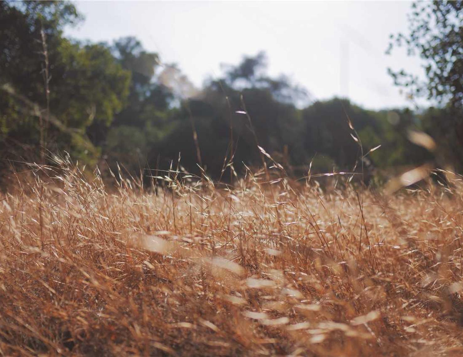 春秋项目规划,注册|如何建立有效的电子邮件营销策略
