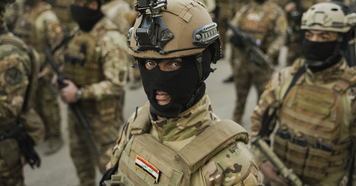 巨像骑士团:血统犬购买平台