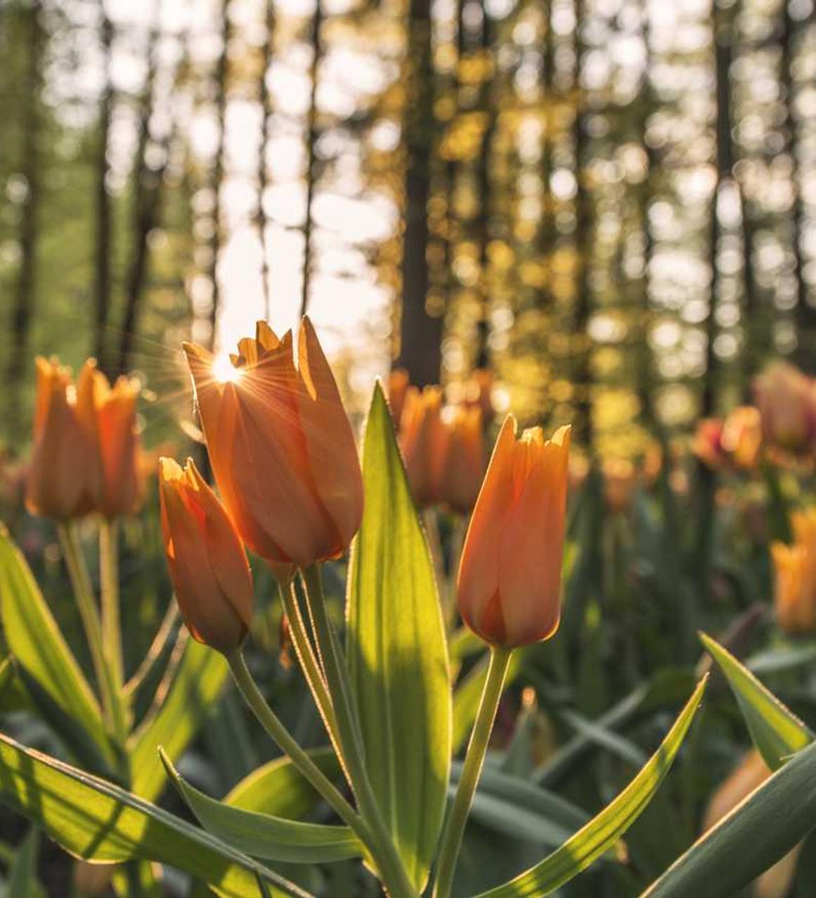 代理提货平台哪家好
