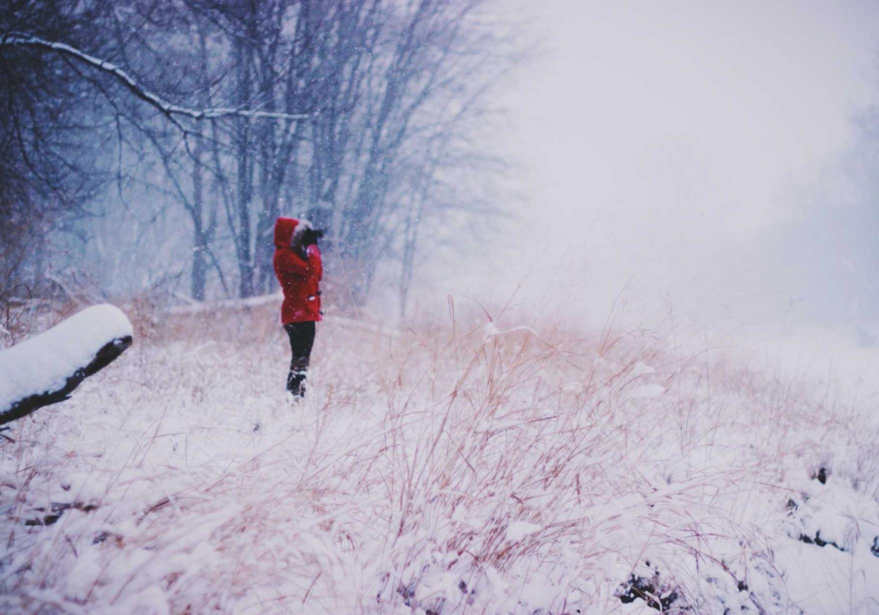 女神异闻录:夜幕魅影辅助- 闪电融app详情下载教程