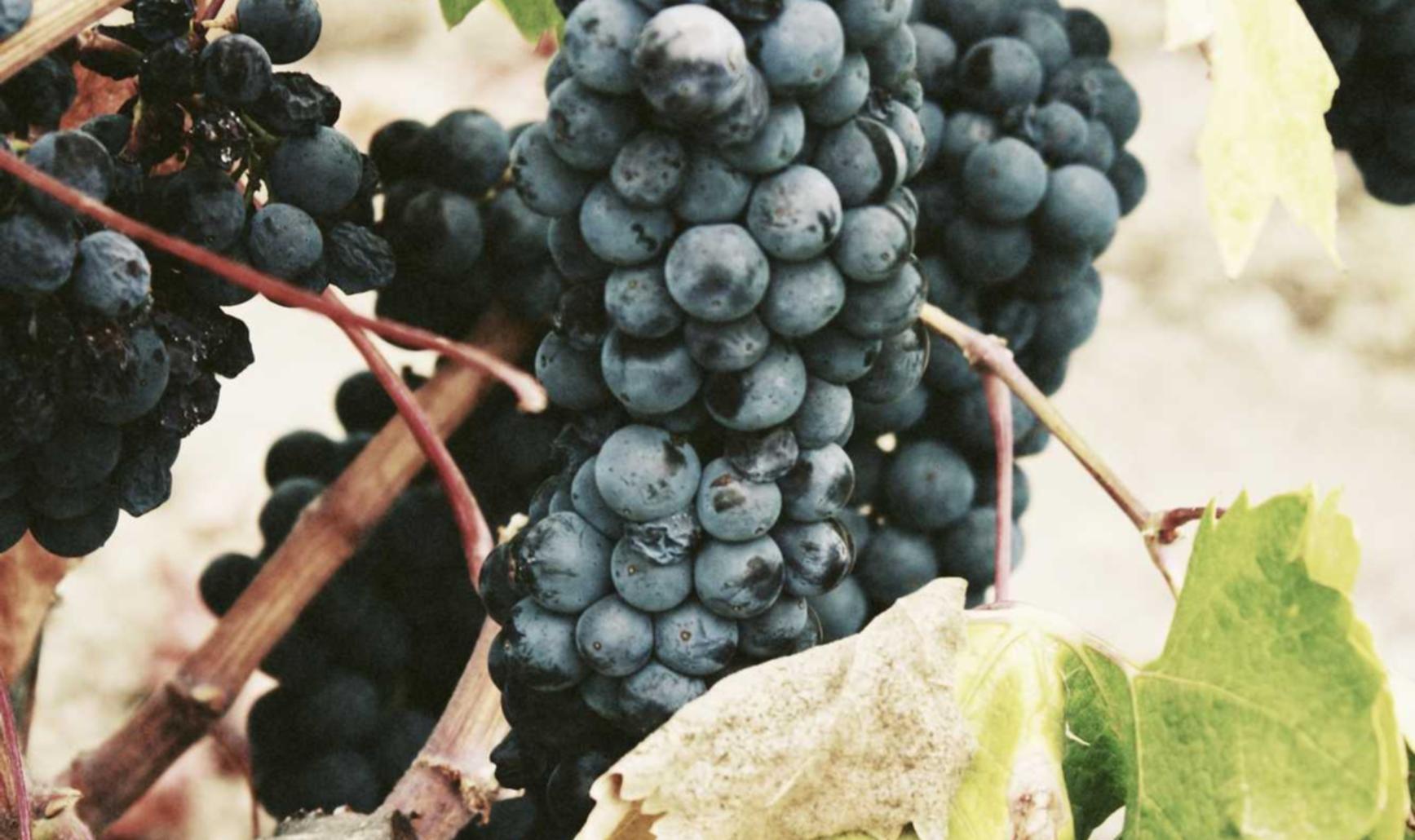 提升意识，保卫数据：权限漏洞防治必读