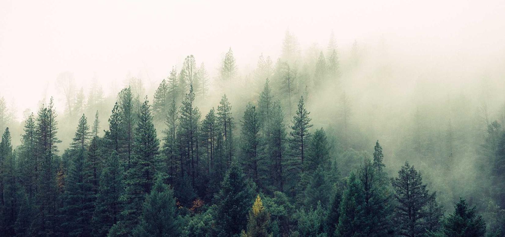 解读DDOS攻击慢速- 飞语影视app详情下载教程