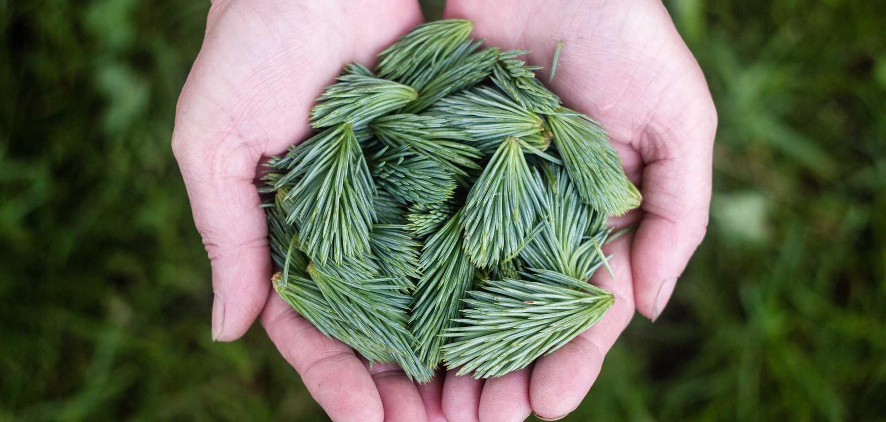 爱喜葡萄双爆珠:淘宝代理正规平台