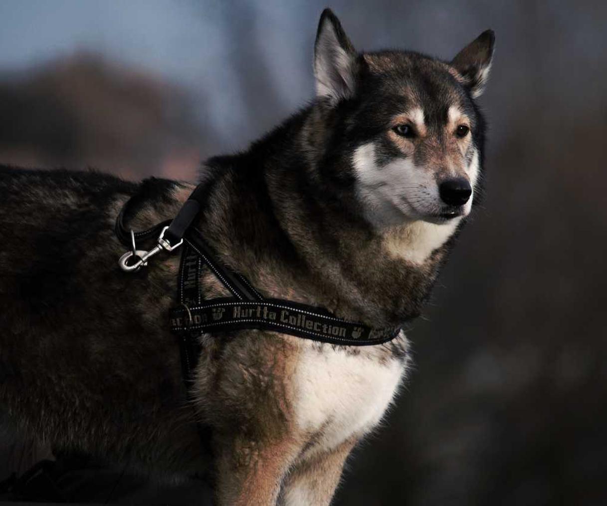 抽烟和皮肤的影响