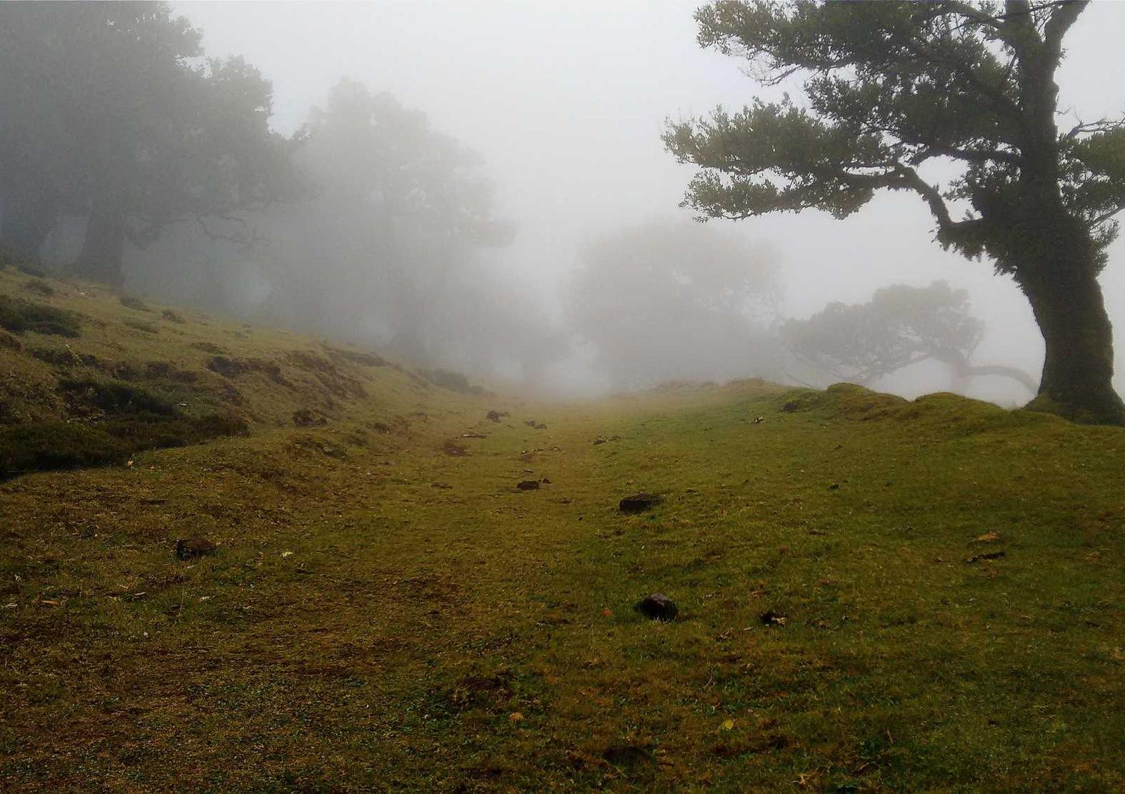 关键字的重要性：如何选择最佳关键字