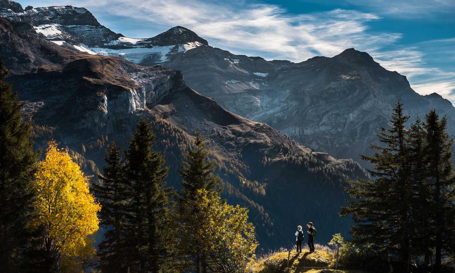 DDOS攻击器|盟学苑app详情下载教程