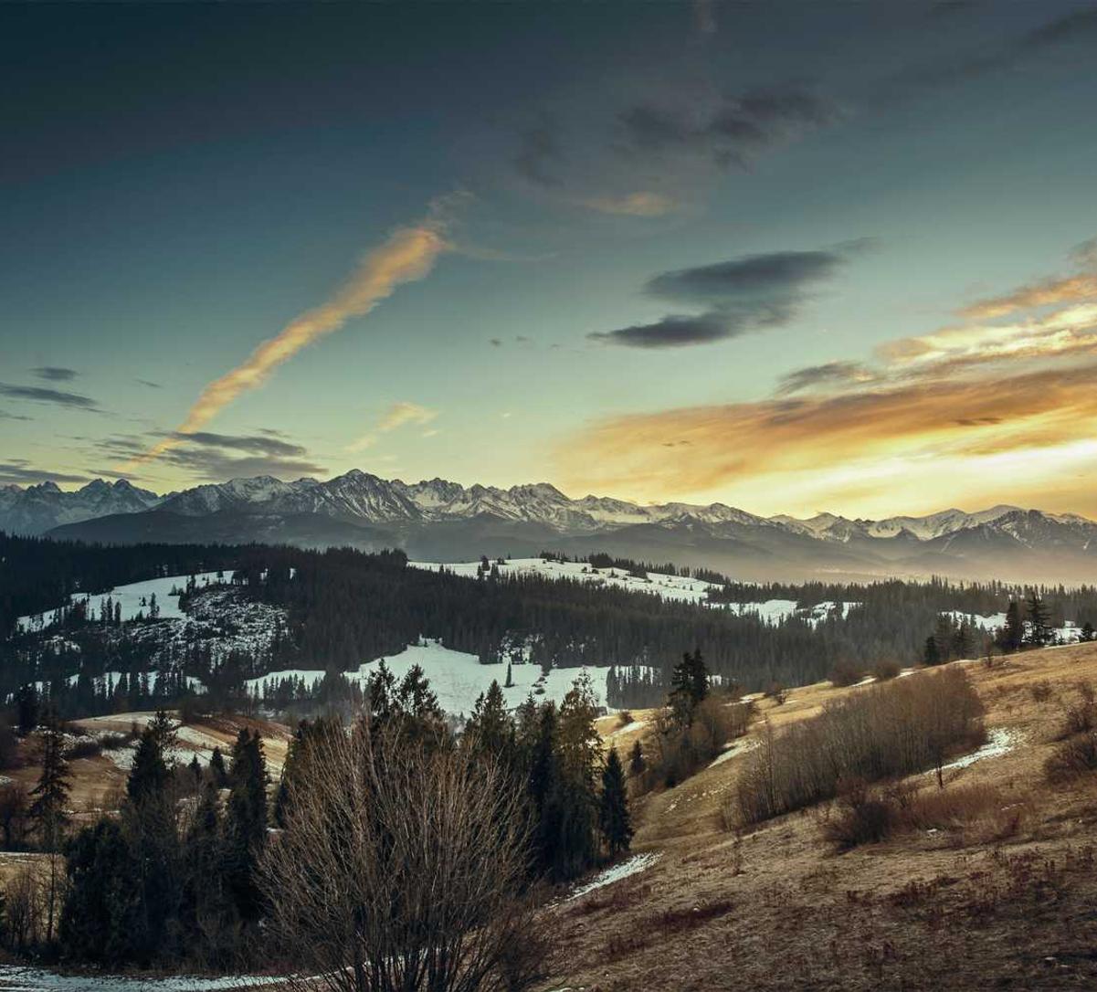 正规的物联卡：好看视频app官网详情下载教程