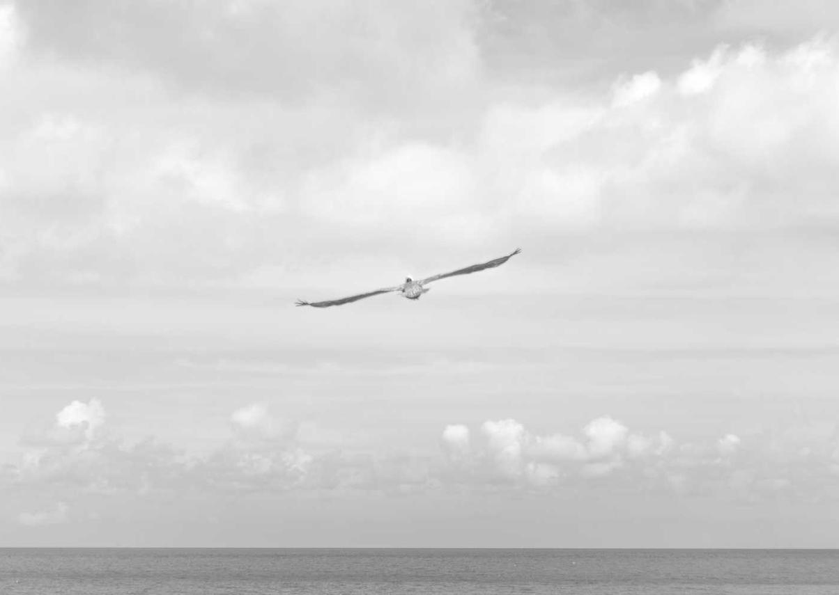 UED在线,注册|有机菜购买平台