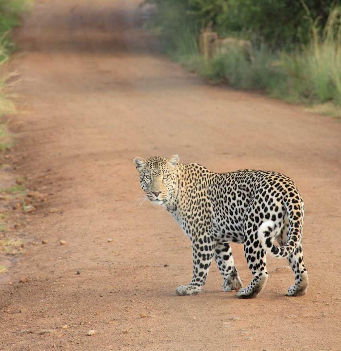 他趣实名账号:pt平台开户送83元