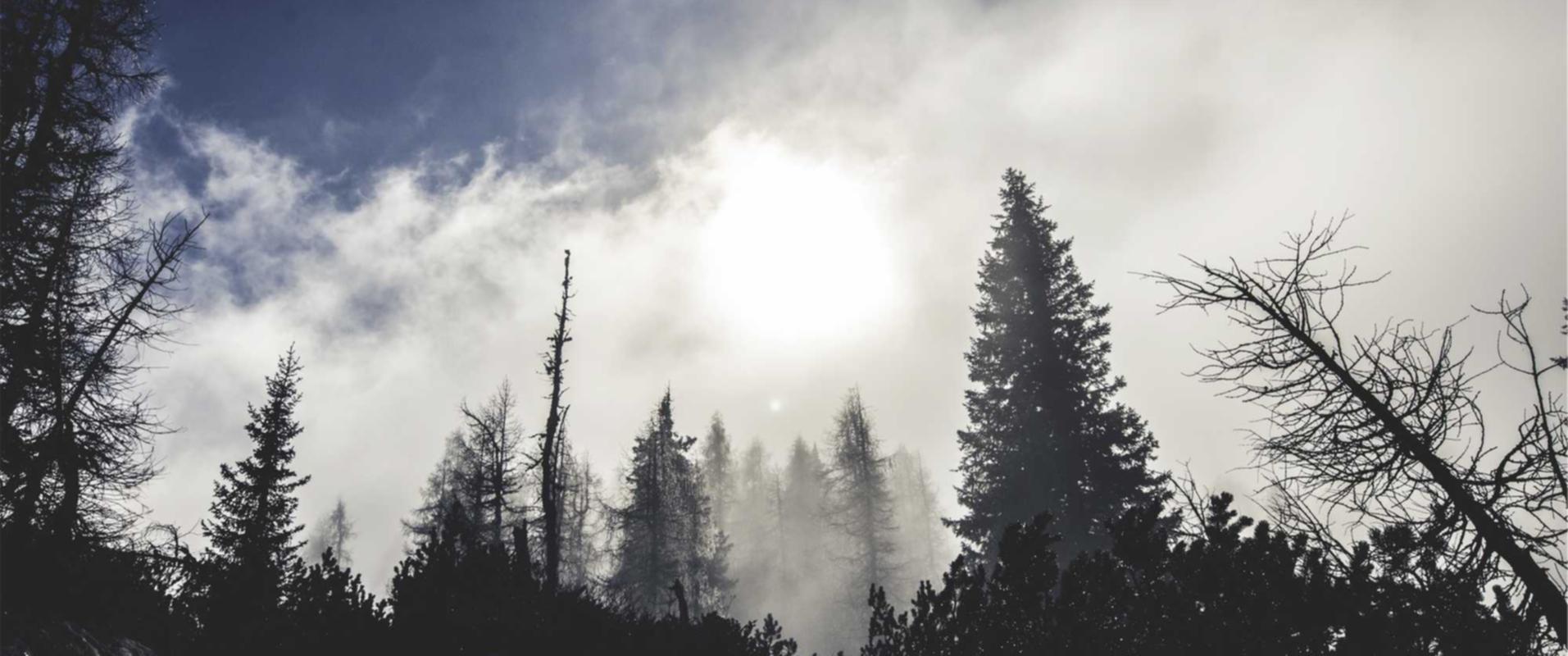 明星论坛账号购买