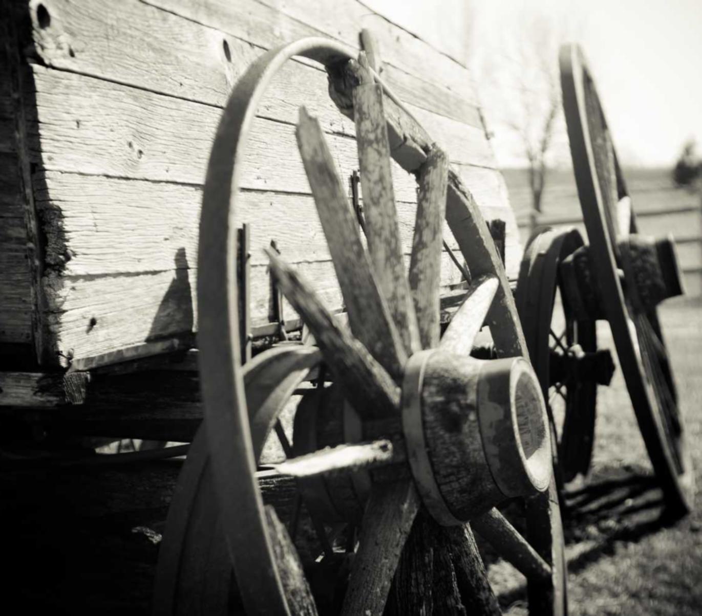 蚂蚁生活代理平台