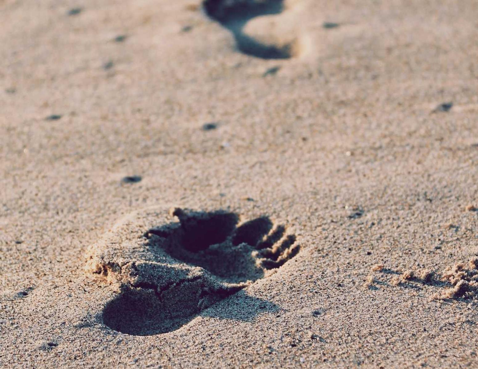 语音实名三网卡- 魔方app详情下载教程