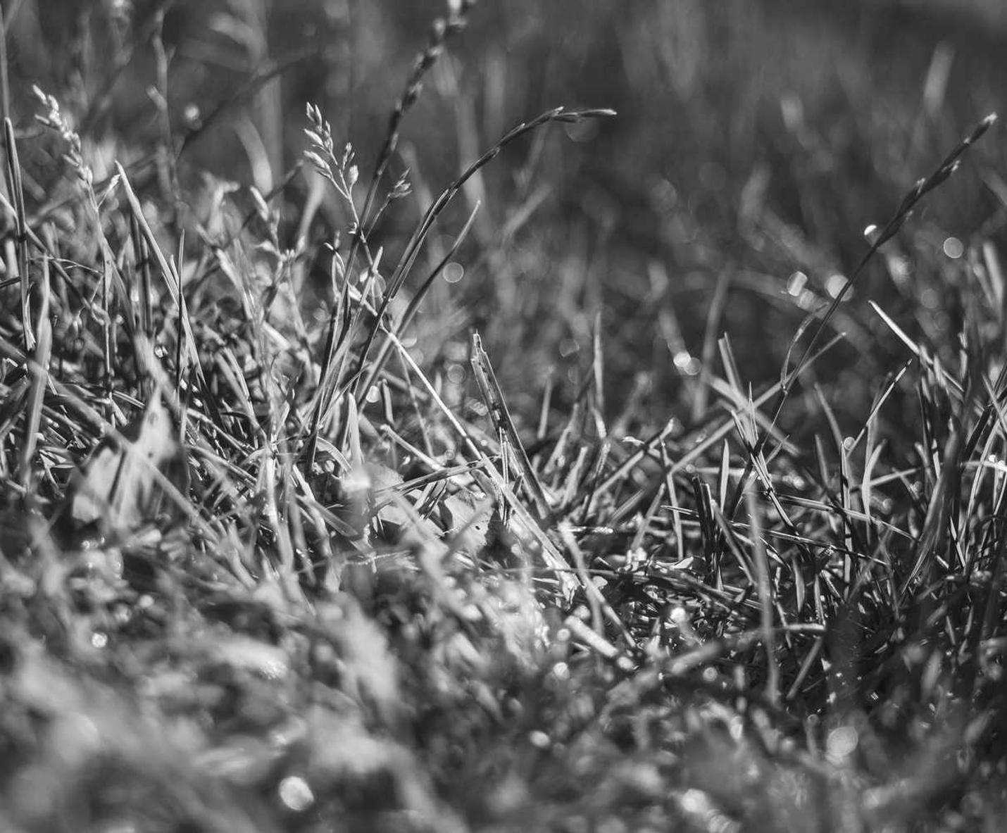 V粉卡实名账号：如何利用短信营销和UU跟踪产品推广