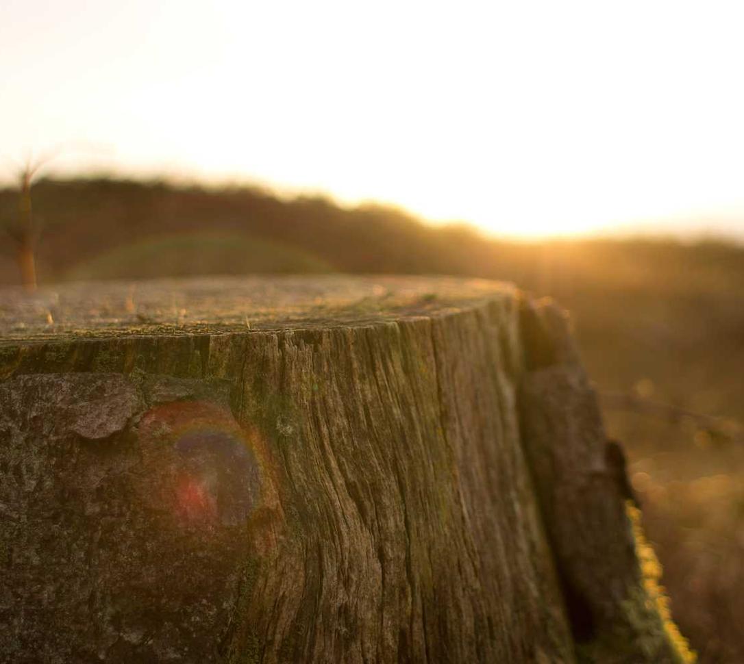 铁盒柔和七星蓝莓爆珠：详情下载教程小黑板APP