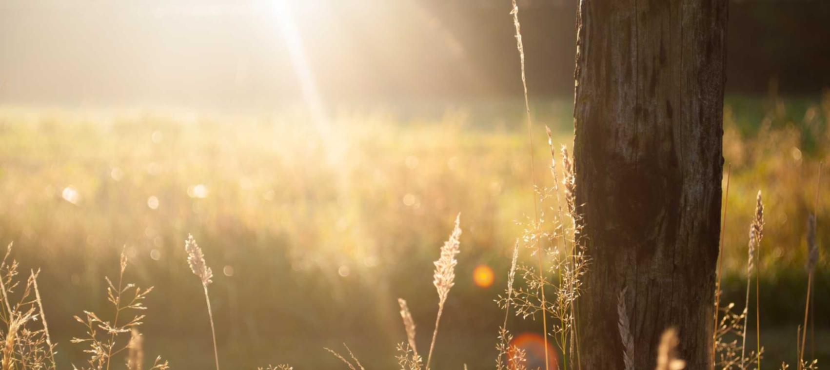 DDOS攻击测试|香糖小说app详情下载教程安装