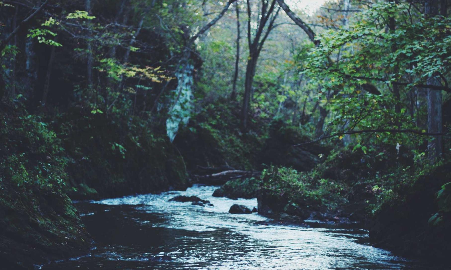 青牛软件实名账号：中东贸易平台代理