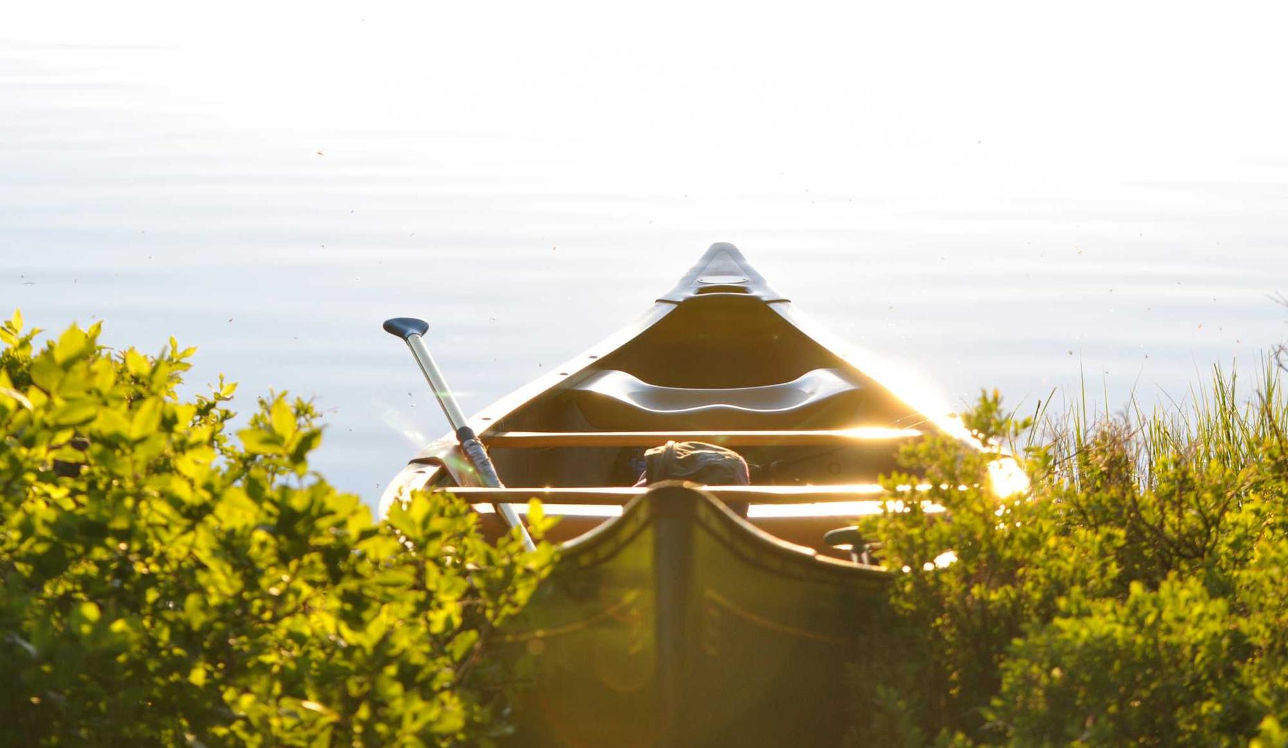 苏宁互联实名账号：为什么详情下载教程app一直在等待中