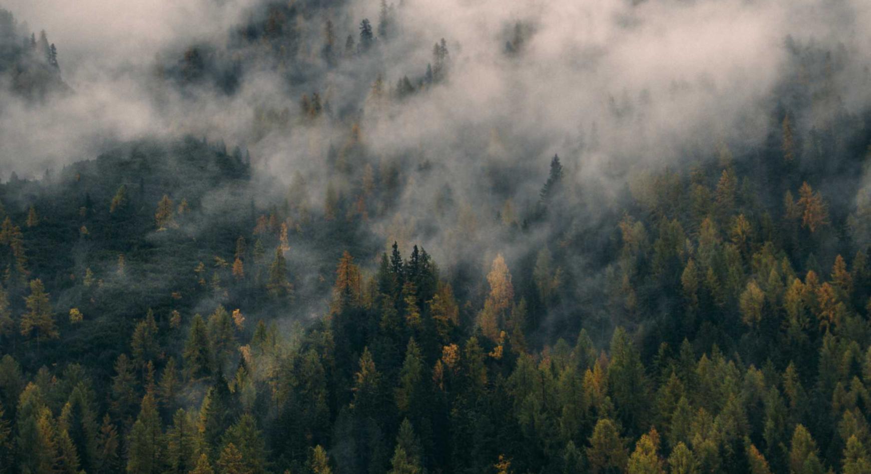 全球住宅ip实名账号：流量卡和电子钱包的应用场景