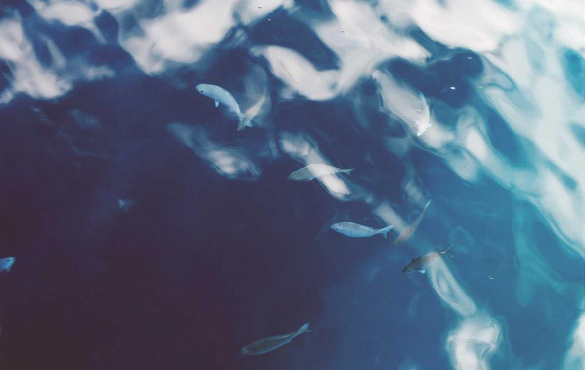 DDOS网页端|里番库app详情下载教程