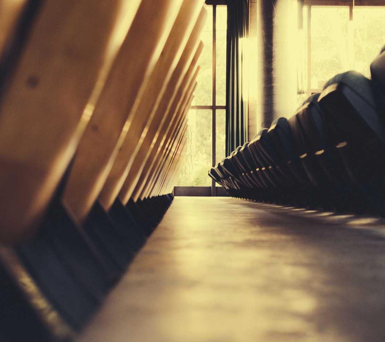 芒果团队竞技良心代理平台有哪些