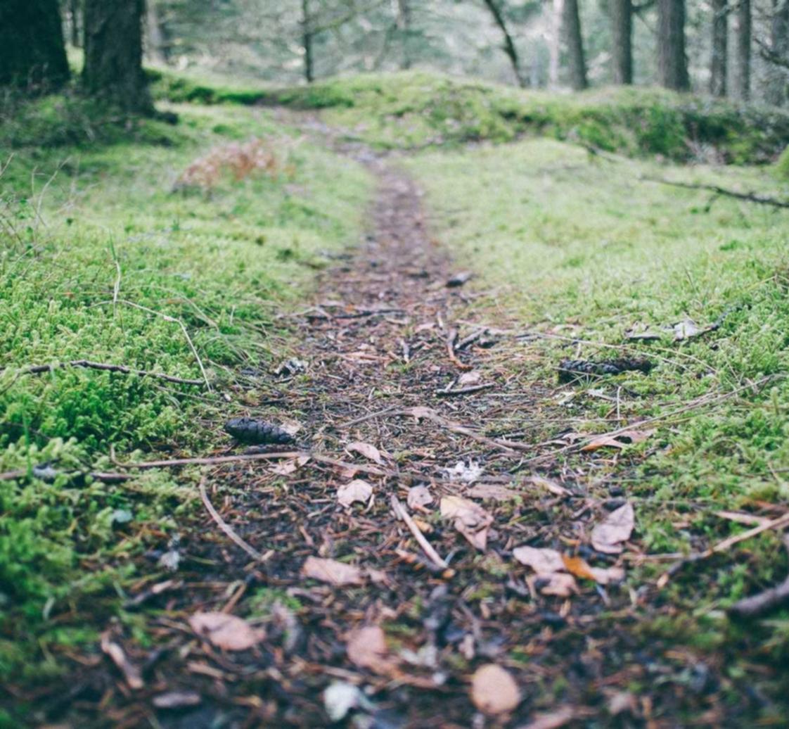 DDOS在线压力测试|萧山企业注册代理公司费用