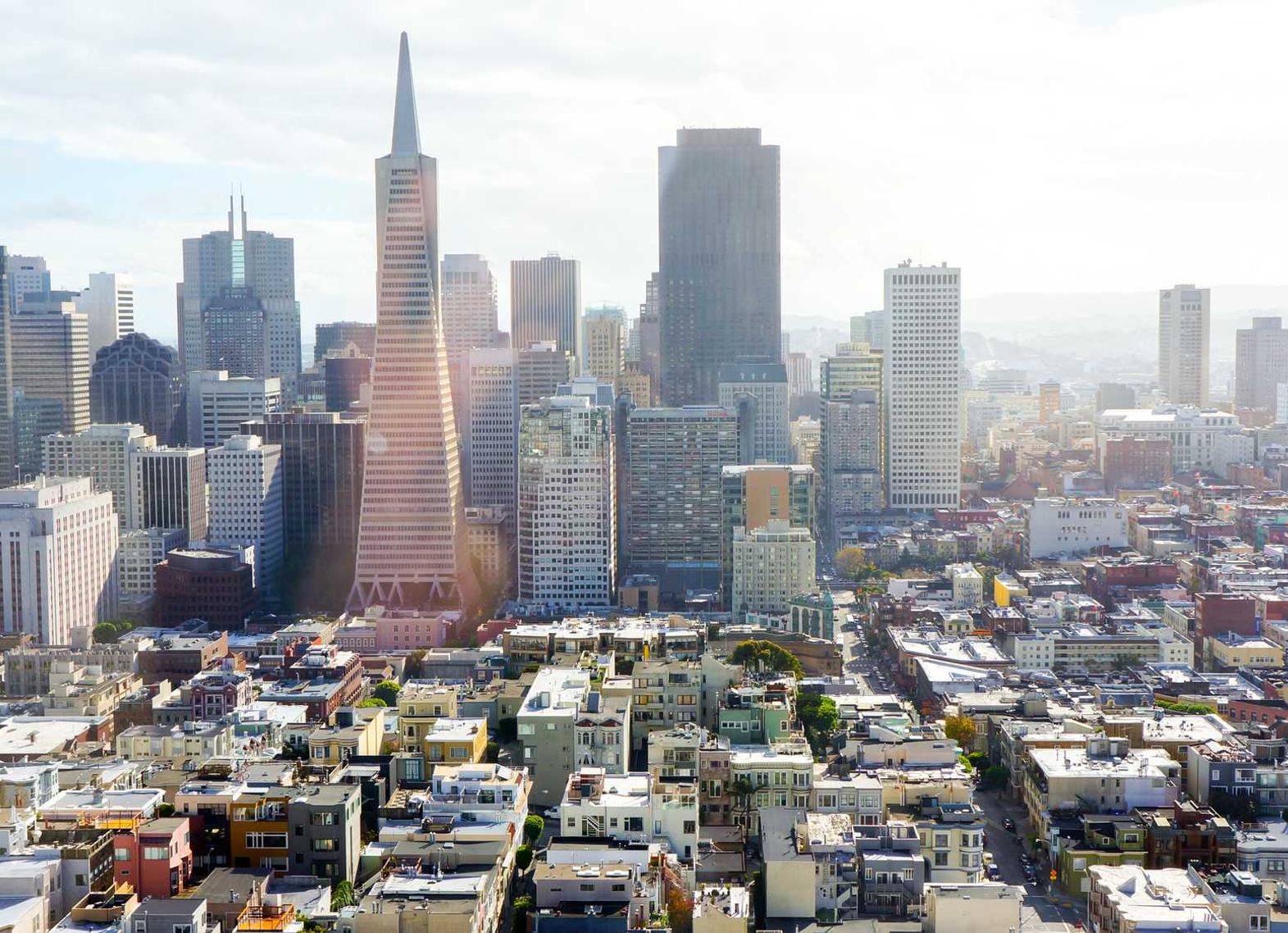 鼎点闪银app详情下载教程官方