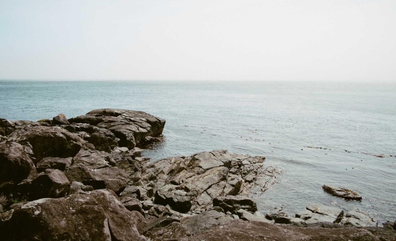 天启ip实名账号:浙江专业货运代理注册中心