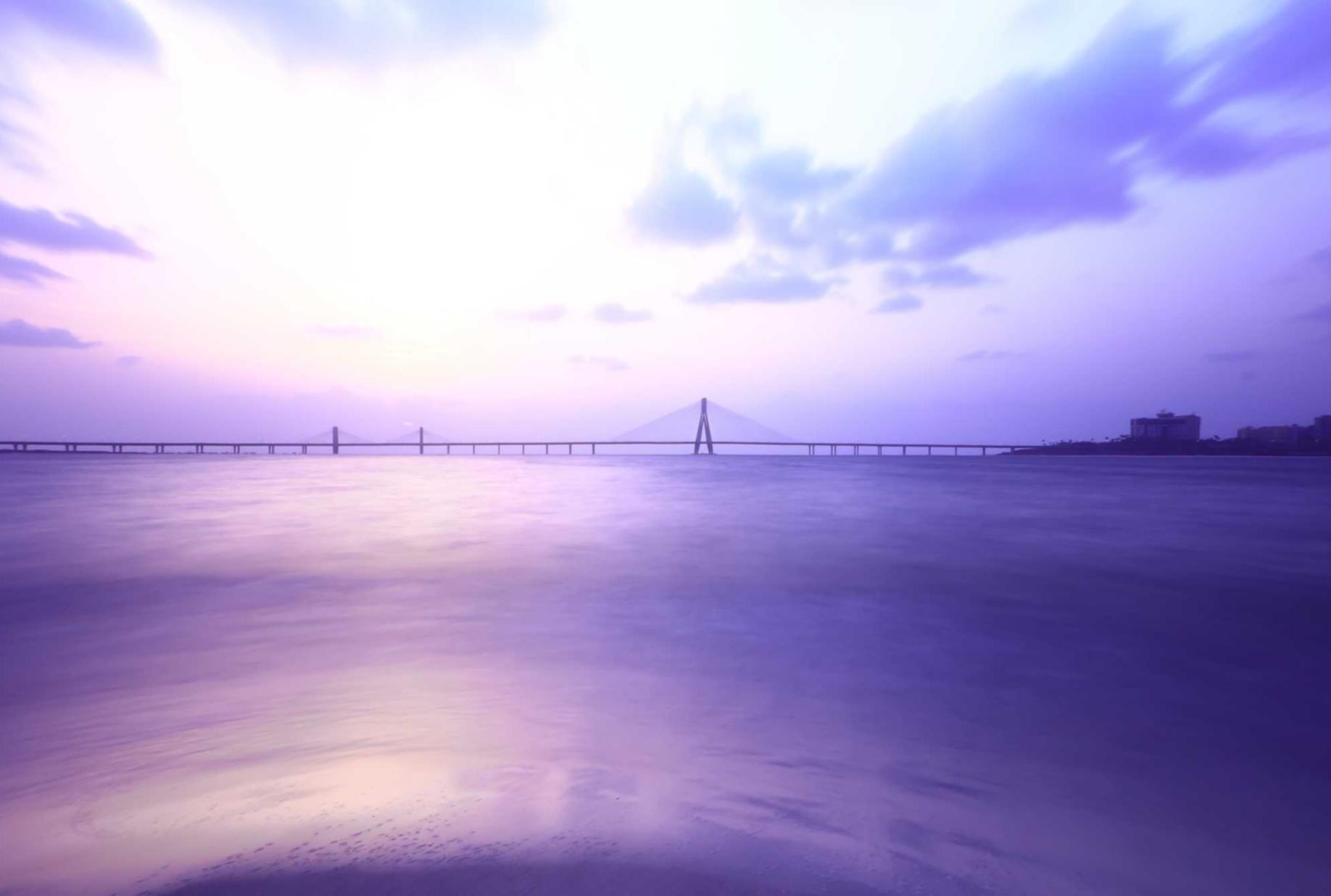 恒宏抱抱喵购买平台