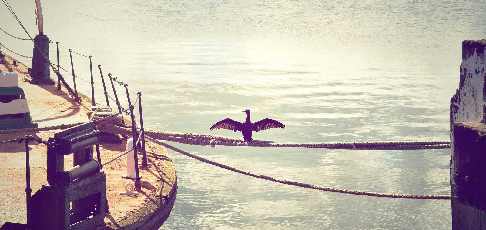 DDOS压力测试|代理销售注册公司