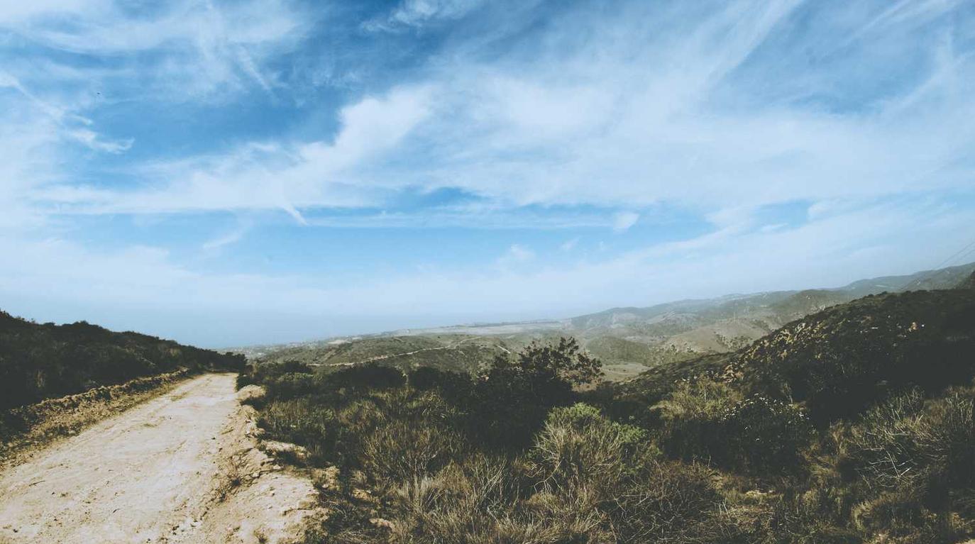 香烟的含氧量和二氧化碳量是多少?
