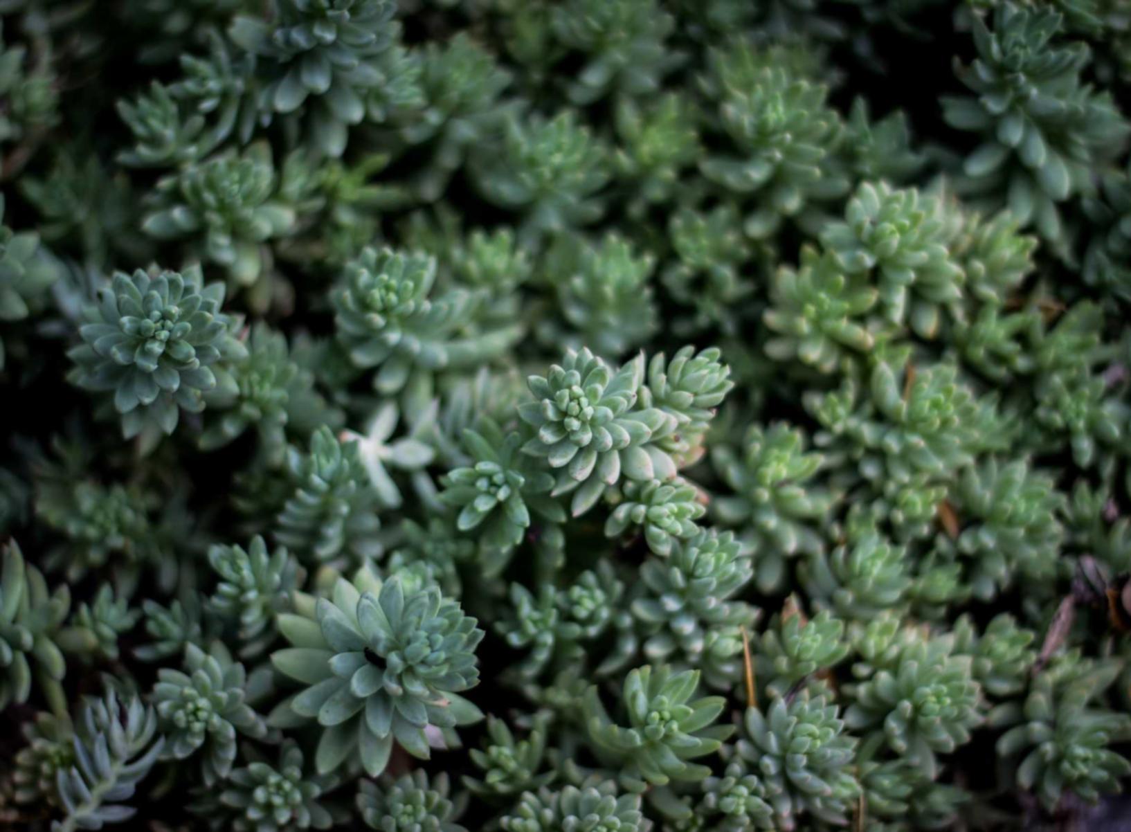 老微信号码批发：流量卡相对于手机数据的优越性