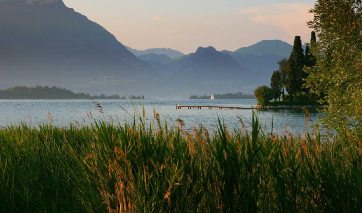 火种实名账号:400元英雄联盟账号注册